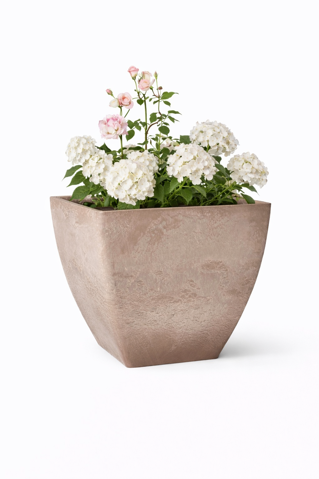 Signature Seasonal Planter Membership