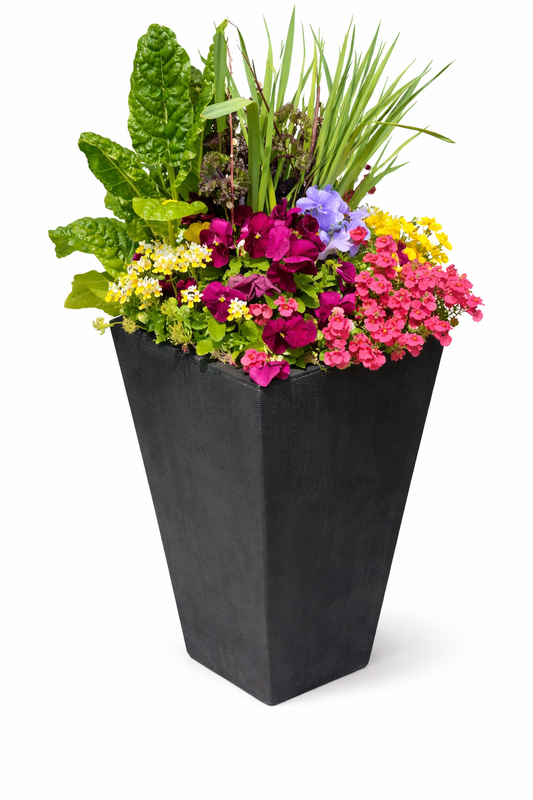 Summer Signature Planter