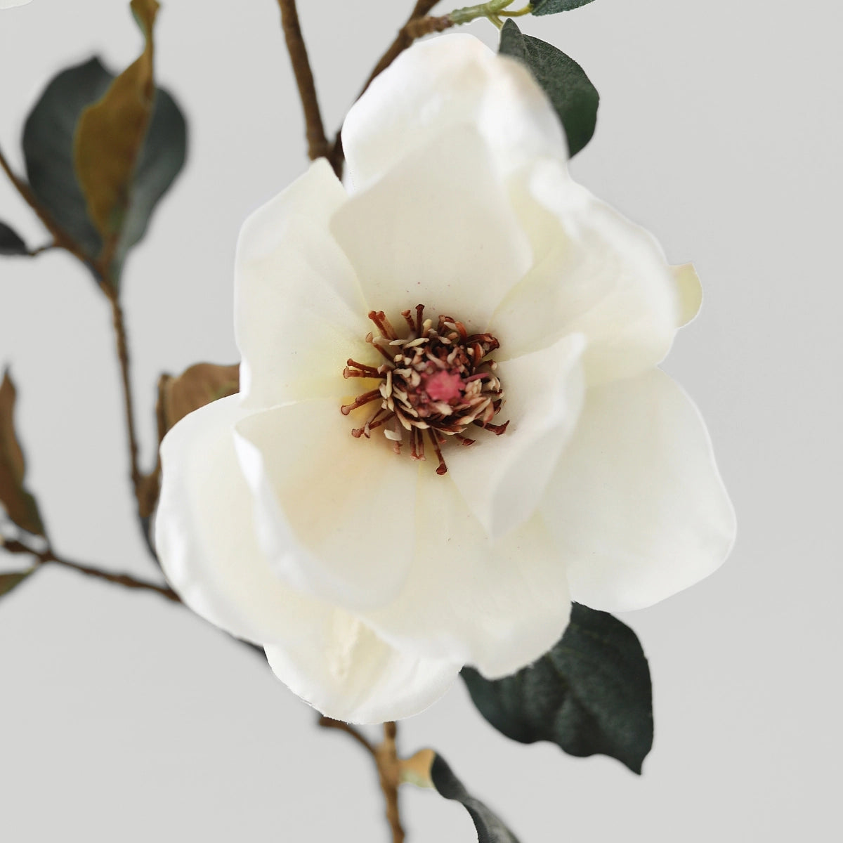 Cream Magnolia Flower Branch- 35"- Bundle of 6 Stems
