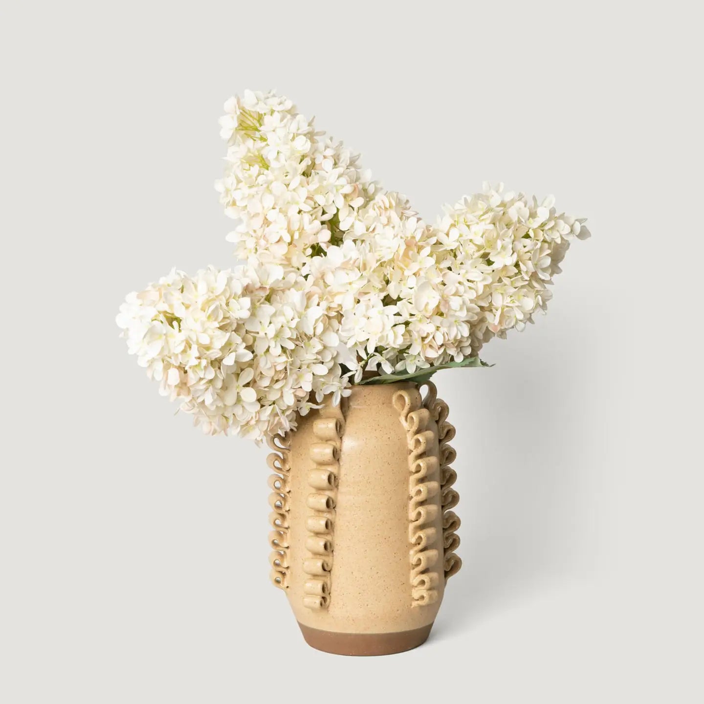 Dried Cone Hydrangea in Parchment - 35"