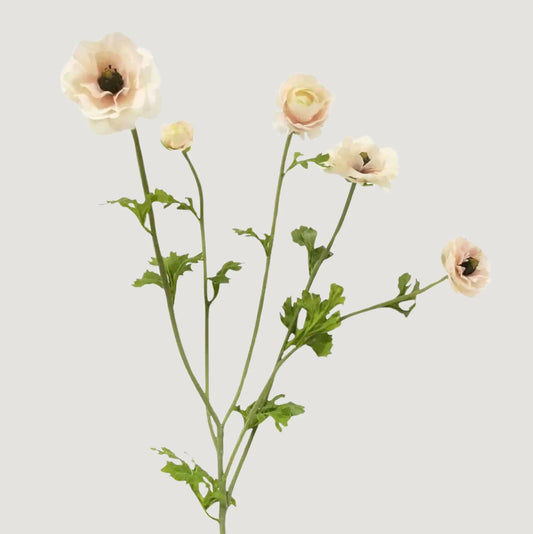Light Cream Faux Ranunculus Flowers - 37.5"- Six Stem Bundle