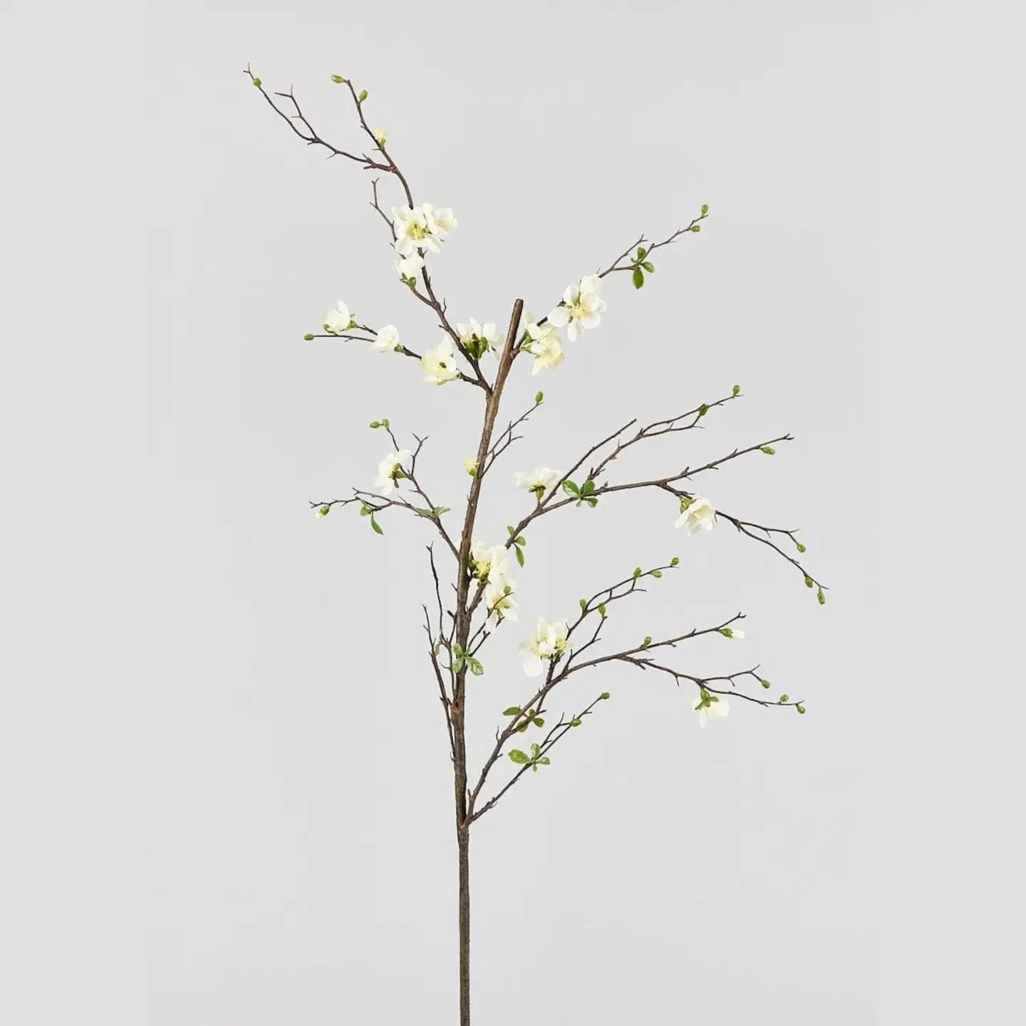 Cream Blossom Branch- 57"