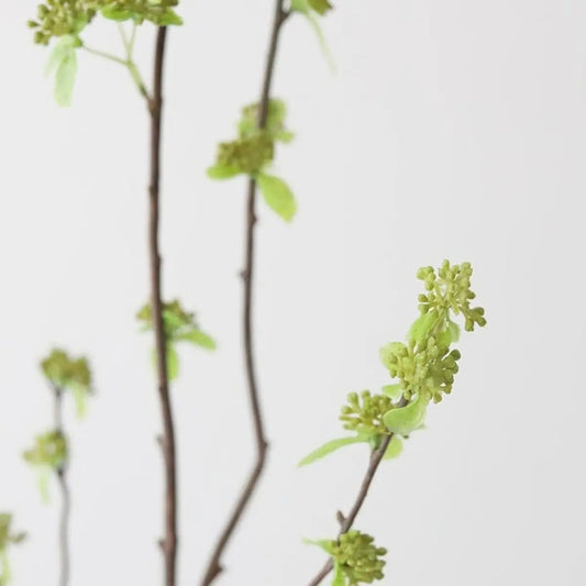 Branch with Green Buds - 40"- Six Stem Bundle