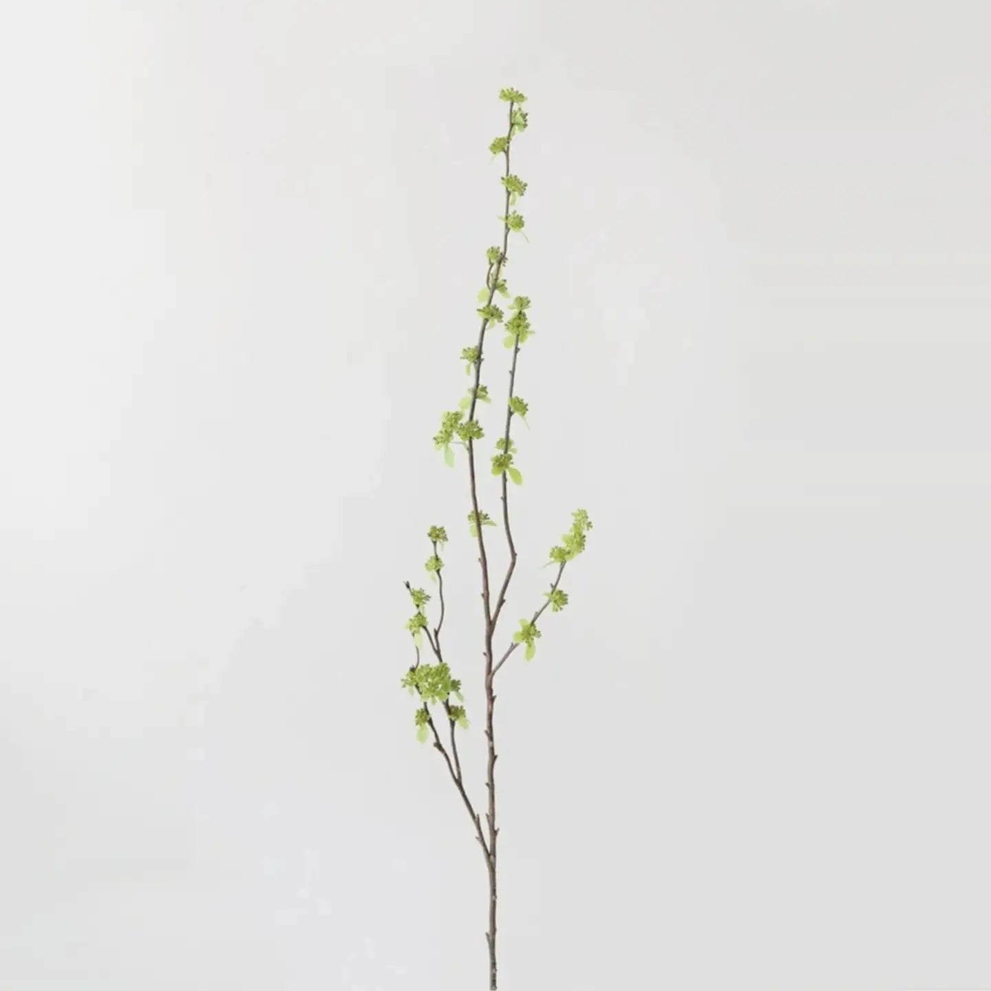 Branch with Green Buds - 40"