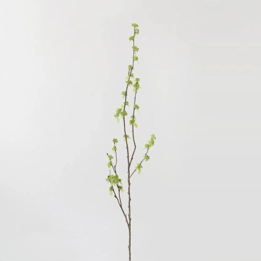 Branch with Green Buds - 40"- Six Stem Bundle