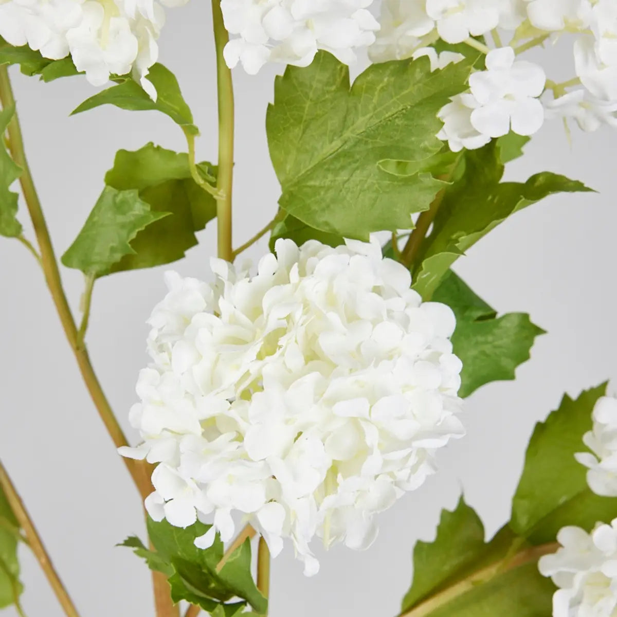 Snowball Hydrangea in Crisp White - 43.5"